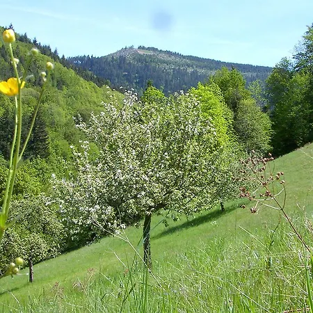 Gesundheitszentrum St. Anna Hotel 3*
